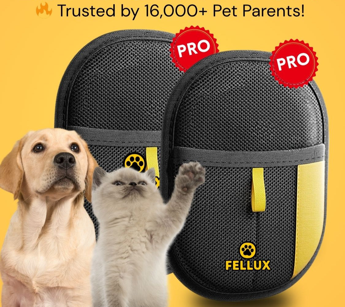 Fellux FurFlash Pro | Next Gen Pet Hair Remover Glove for Clothes, Furniture & More