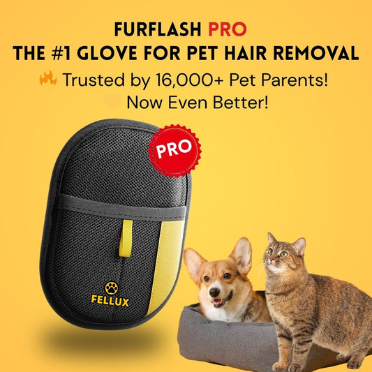 Fellux FurFlash Pro | Next Gen Pet Hair Remover Glove for Clothes, Furniture & More