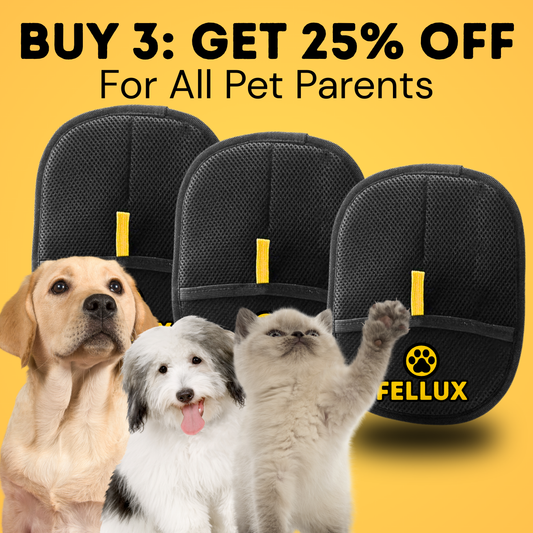 3X Fellux FurFlash Bundle: GET 25% OFF