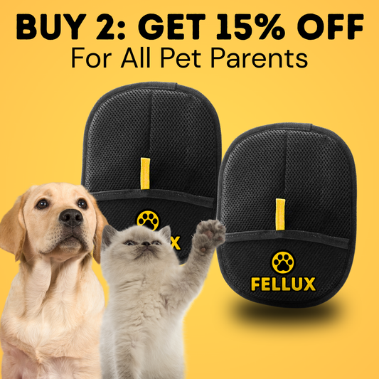2X Fellux FurFlash Bundle: GET 15% OFF